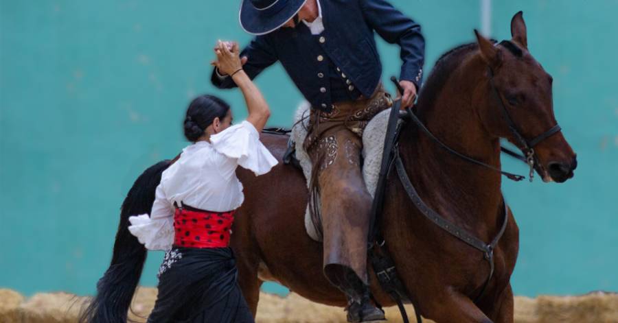 Pézenas - Découvrez le programme des Journées du Cheval à Pézenas