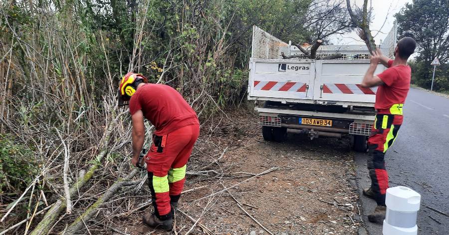 Vias - L'équipe GEMAPI en intervention sur les ruisseaux de Portiragnes et Vias