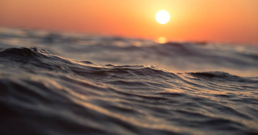 Agde - En Novembre, participez au Science Tour de la Mer !