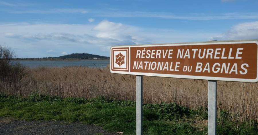 Agde - La réserve naturelle du Bagnas fête ses 40 ans