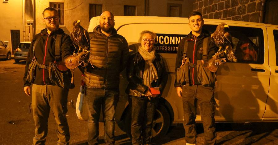 Vias - Une opération d'effarouchement et de régulation de pigeons à Vias
