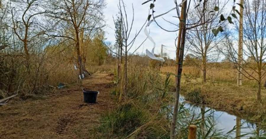 Agde - A vos pelles avec les Verdisses ! Une séance plantation le 9 décembre à Agde