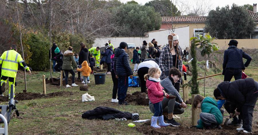 Agde - 200 écoliers vont se relayer afin de planter leurs arbres !