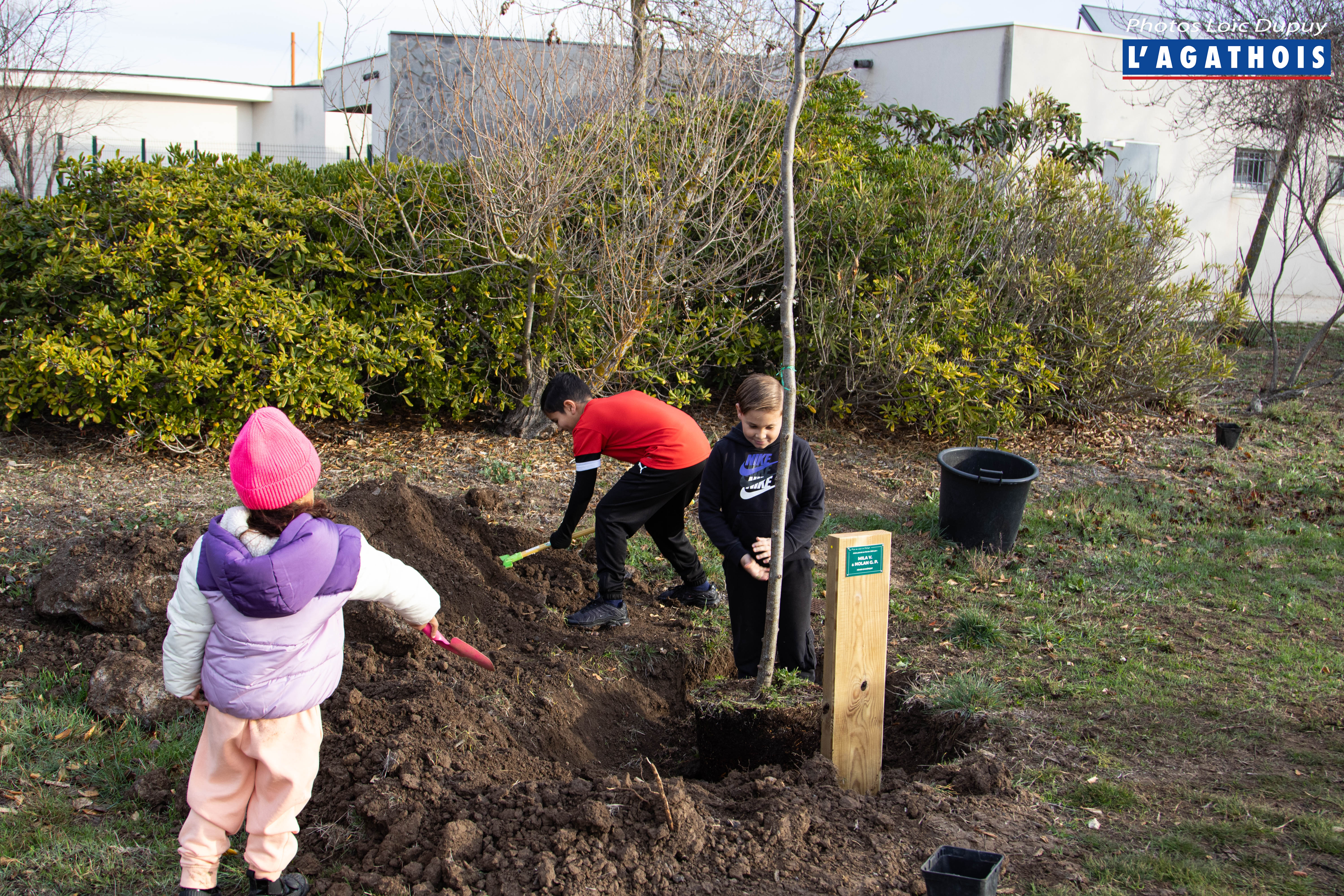 Agde - 200 écoliers vont se relayer afin de planter leurs arbres !