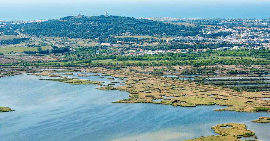 Agde - La grande fête des 40 ans du Bagnas : Le programme du samedi 27 avril !