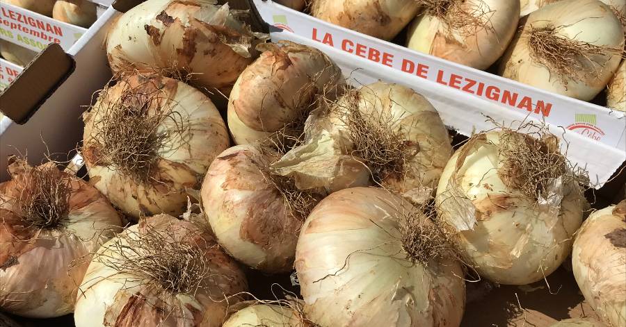 Agglo Hérault Méditerranée - Retrouvez le guide des producteurs en circuits courts de l'Agglo