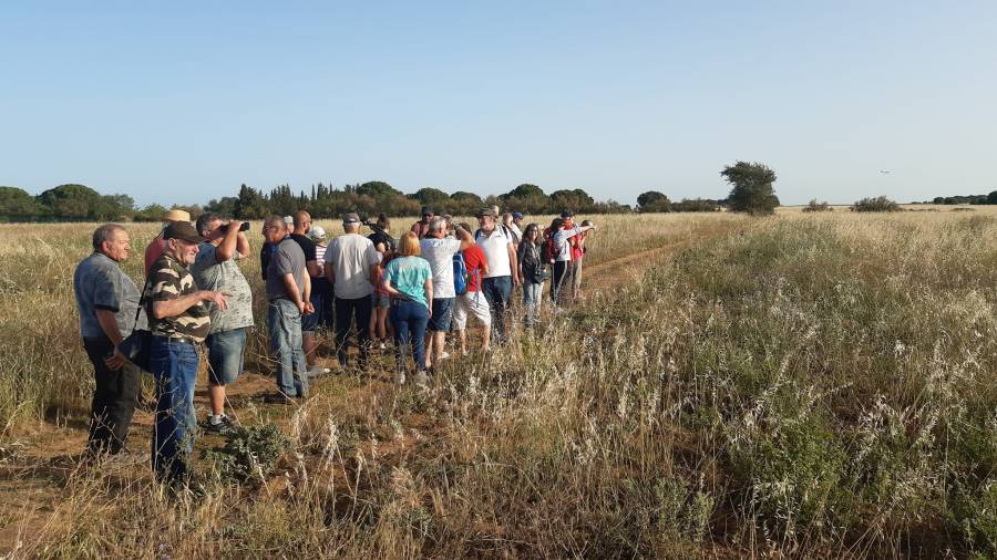 Bessan - Eleveur ovin et outarde à nouveau au cœur d'une originale fête de la nature