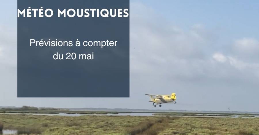 Portiragnes - Les derniers traitements ont concerné 625 hectares de zones humides.