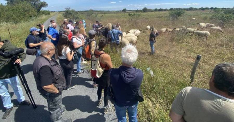Bessan - La fête de la nature s'ancre dans la localité autour de l'élevage et de la biodiversité