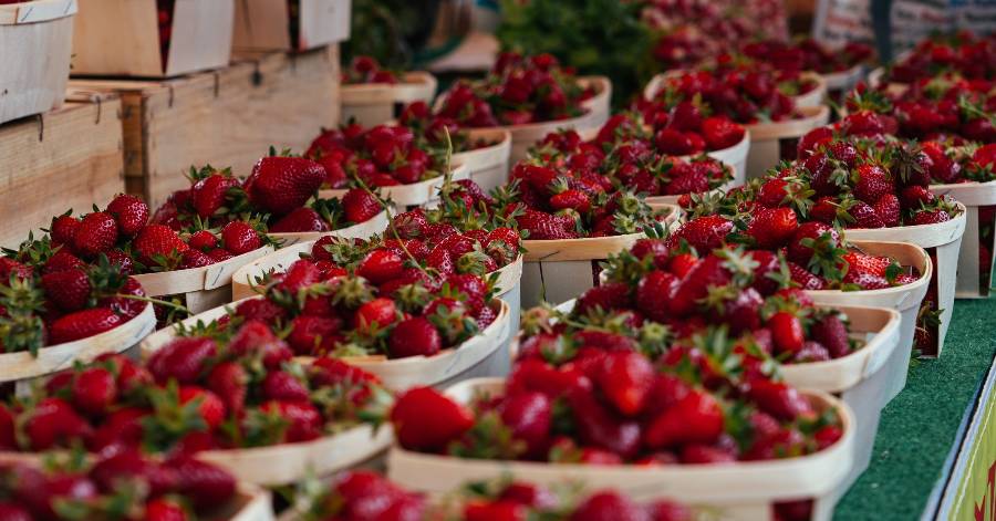 Agglo Hérault Méditerranée - Soutenons nos producteurs locaux ! Découvrez le guide 2024
