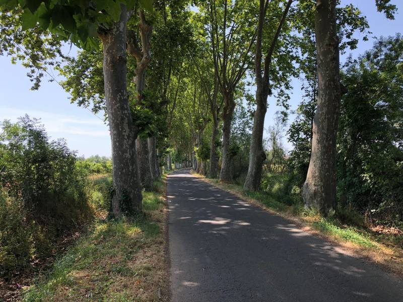 Bessan - Piétonnisation estivale du chemin de l'Allée en prévision de la future boucle verte