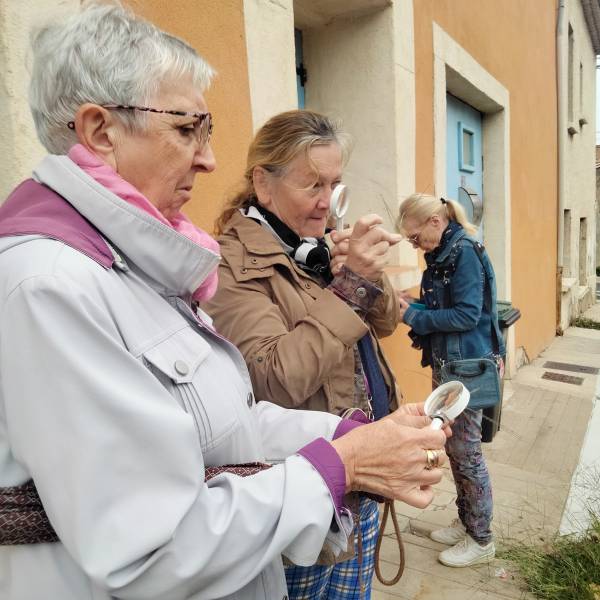 Bessan - Sauvages de ma rue : où comment mieux apprécier les espèces végétales en ville