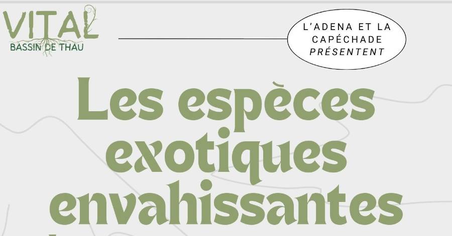 Agde - Conférence et dégustation autour des espèces exotiques envahissantes au Bagnas