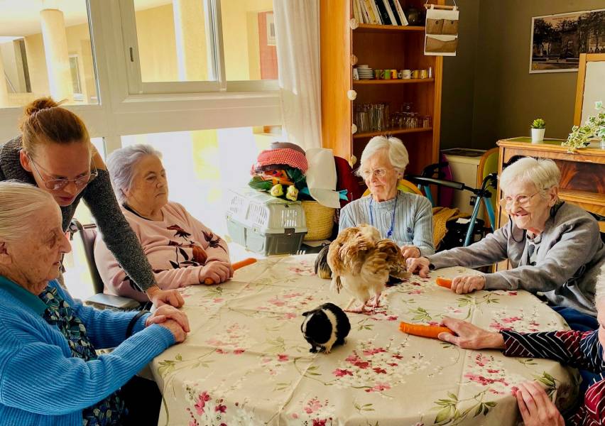 Bessan - Une médiation animale bénéfique pour les pensionnaires de la maison de retraite