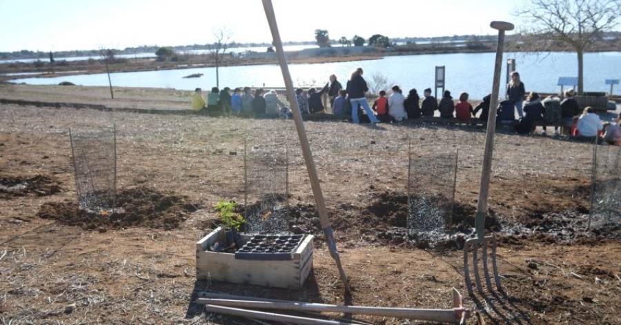 Marseillan - Participez à la seconde plantation citoyenne au parc du Boudas !