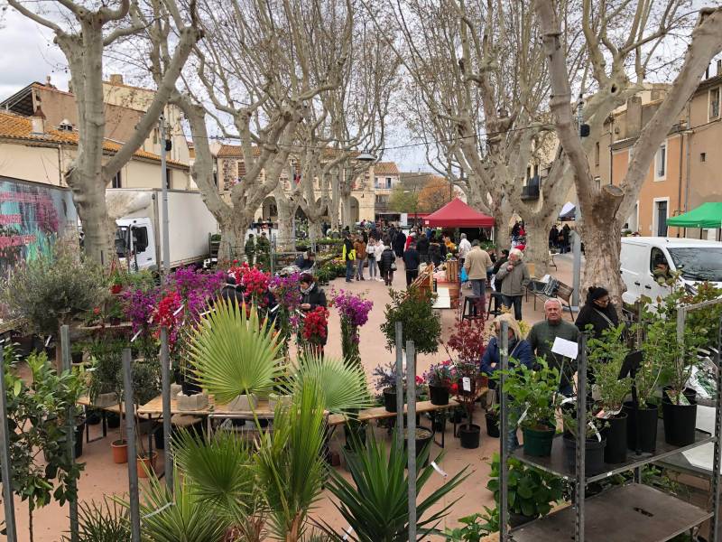 Bessan - Des floralies perturbées par le vent mais bien ancrées dans l'actualité du printemps