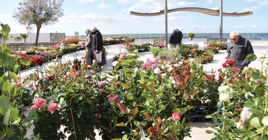 Grau d'Agde - Rendez-vous fleuri le 11 mai au Grau d'Agde pour les Floralies