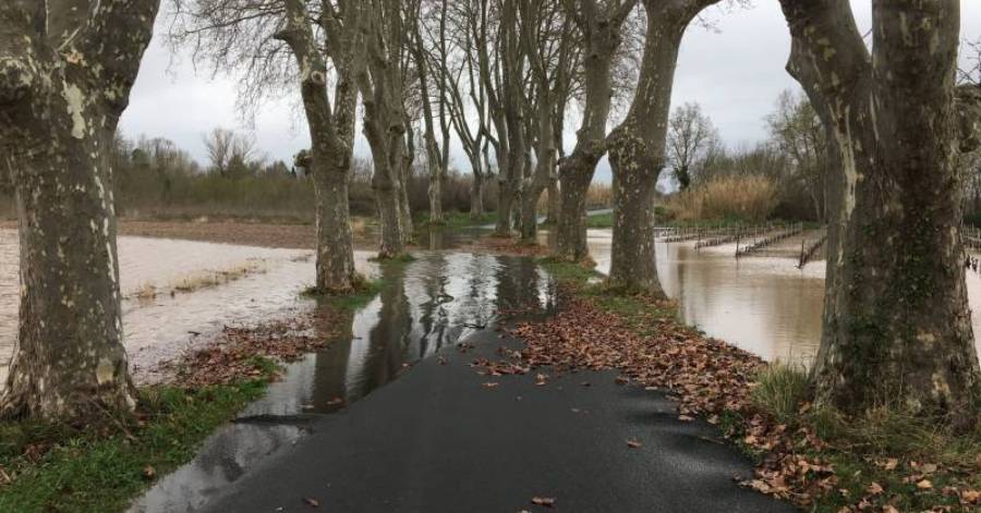 Bessan - Un appel à contributions en vue d'un livre sur les inondations du fleuve Hérault