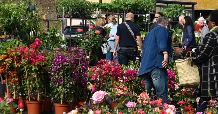Florensac - La Ville se pare de fleurs pour les 27èmes Floralies