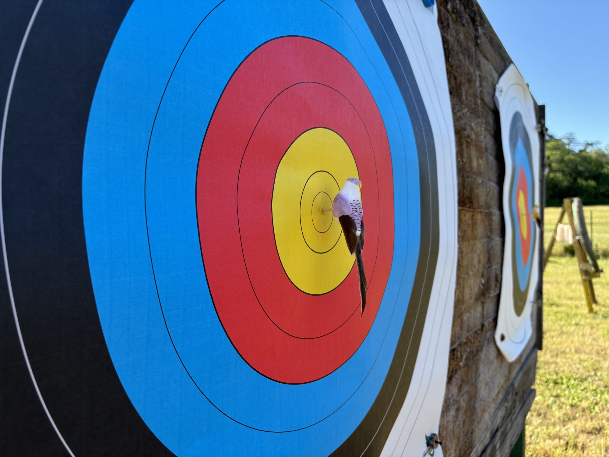 Sports de cible Agde - Les archers ont désigné leurs Roys et Reine lors du traditionnel tir à l'oiseau